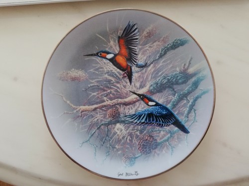 Rosenthal wandteller - rosenthal,