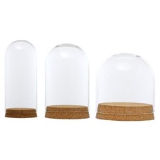 Glashaube cloche glas haube - glas,