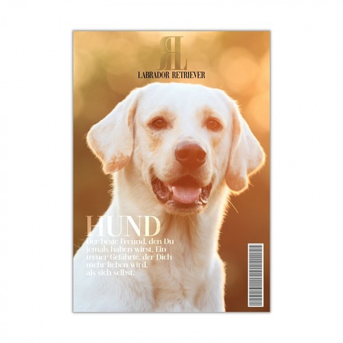 Labrador retriever schild dog - schild,
