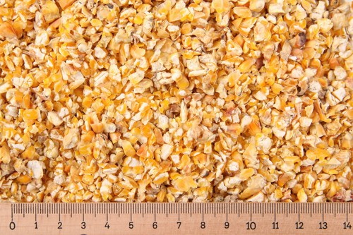 25 kg mais - (gp, 0,85