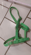 HARRY`S HORSE Fohlenhalfter/ Shetty/ Minishetty-- APPLEGREEN
