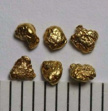 6 GOLDNUGGETS- GOLD NUGGETS