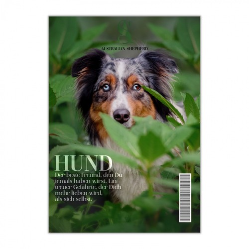 Australian shepherd schild - australian,
