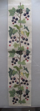 Schwarze Johannisbeeren -