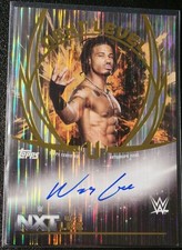2025 Topps WWE Universe