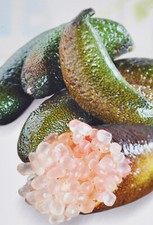Australische fingerlimette - australische,