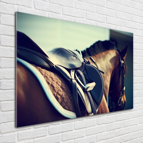 Glas bild wandbilder druck - glas-bild,