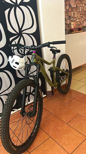 Rose bike root - rose, miller