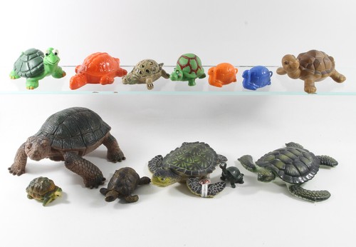 Schildkröte 13 x - 13, turtles