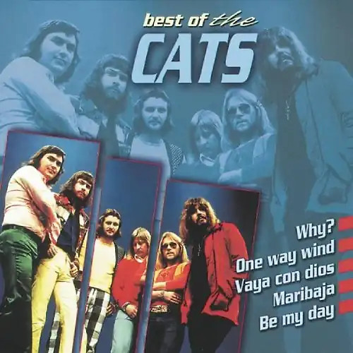 The cats best of - the,