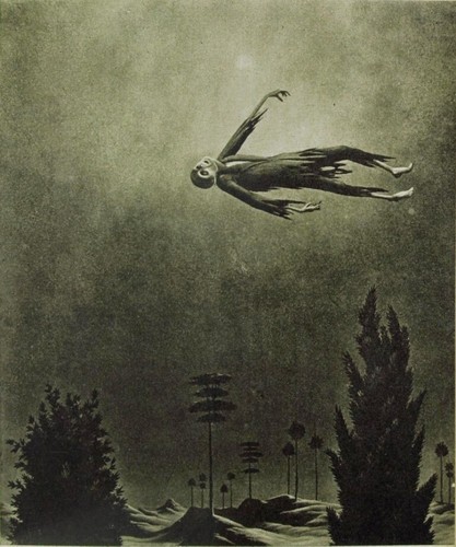 Ghost over the trees franz - trees,