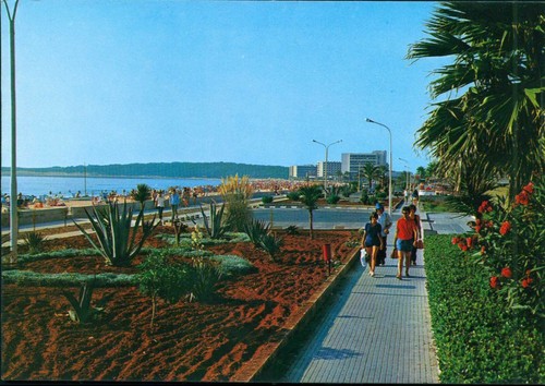 Park bei cala millor - ak,