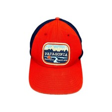 Patagonia Pointed West Trucker