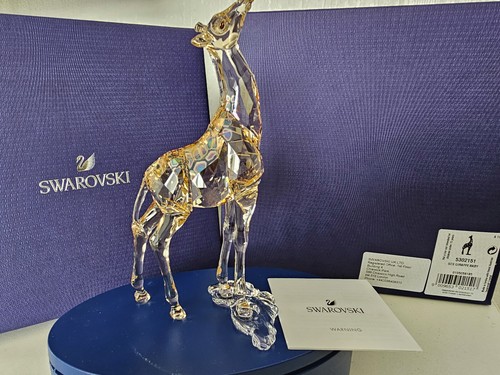 Swarovski scs 2018 baby - swarovski,