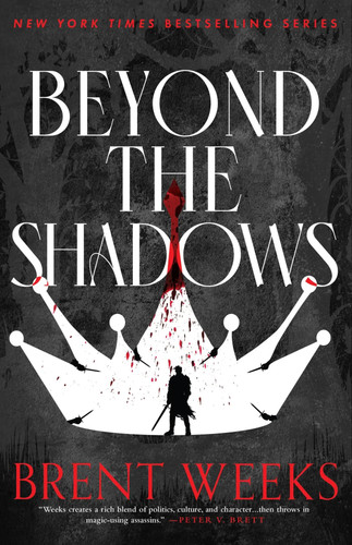 Beyond the shadows book - book, of