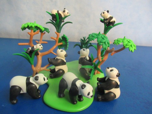Grosses panda bären gehege - bären,