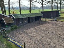 offenstall pferde