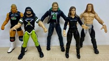 WWF D-Generation X - Triple H