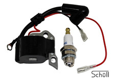 Zündmodul Zündkerze passend