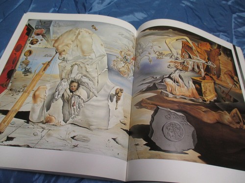 Salvador dali kunst - ,,
