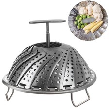 Dampfeinsatz Dünsteinsatz