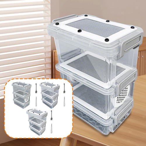 Crickets zuchtbox zucht - crickets,