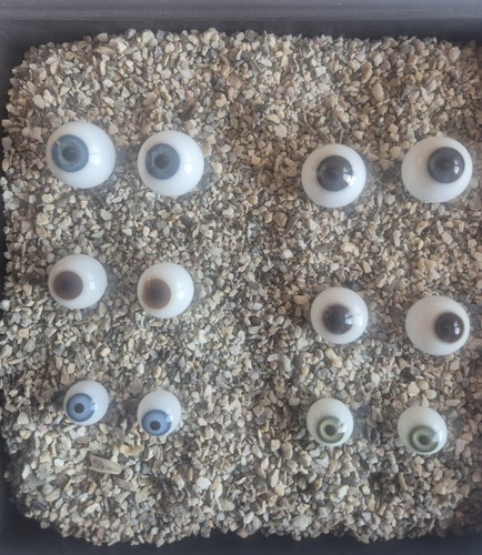 Konvolut glasaugen für puppen - konvolut,