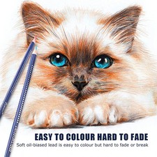 Professionelle Farbstifte Set