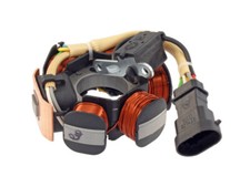 Stator Lichtmaschine RMS für