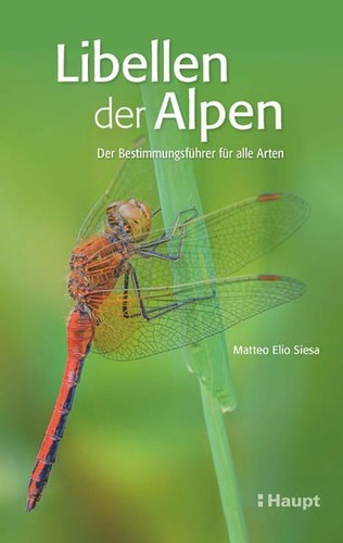 Libellen der alpen - libellen,