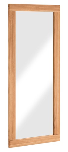 Spiegel wandspiegel 50x120cm - spiegel,