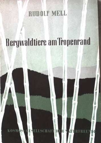 Bergwaldtiere tropenrand - bergwaldtiere, am