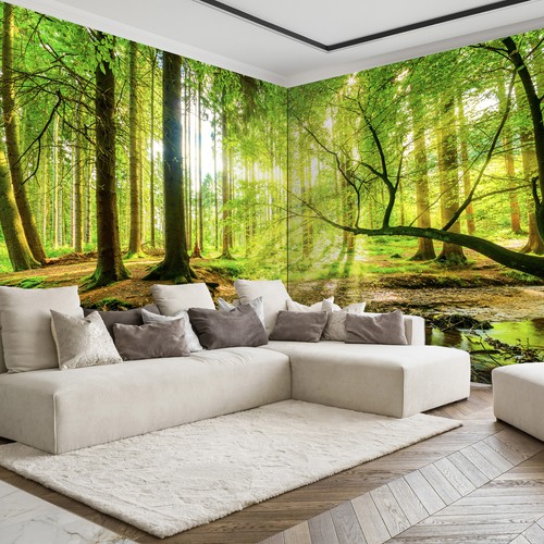 Sonne wald landschaft vlies - wald,
