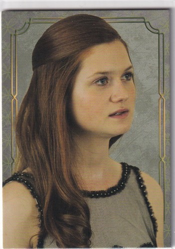 Panini harry potter evolution - harry,