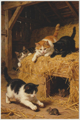 Postkarte x 15 - postkarte_10,