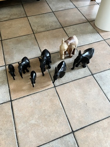 Schöne elefantenfamilie aus - schöne,