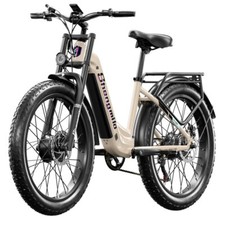 26 Zoll E Mountainbike 2000W