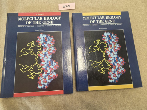 Molecular biology the gene - molecular, of