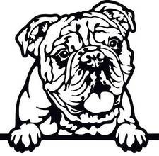 Autoaufkleber /Sticker/ Innen