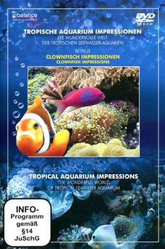 Various tropische aquarium - tropische,