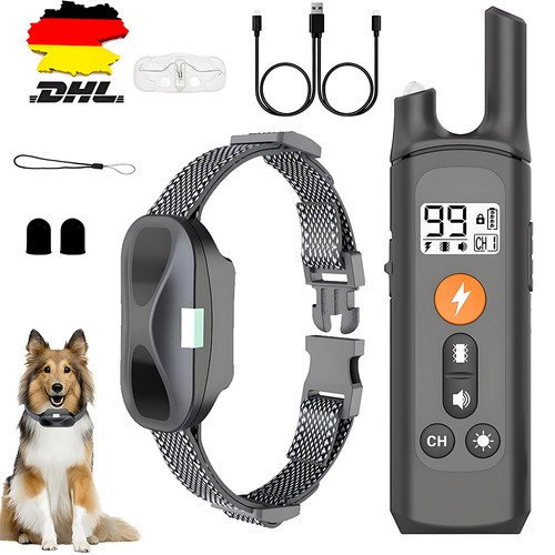 1000m hund ausbildung - 1000m,