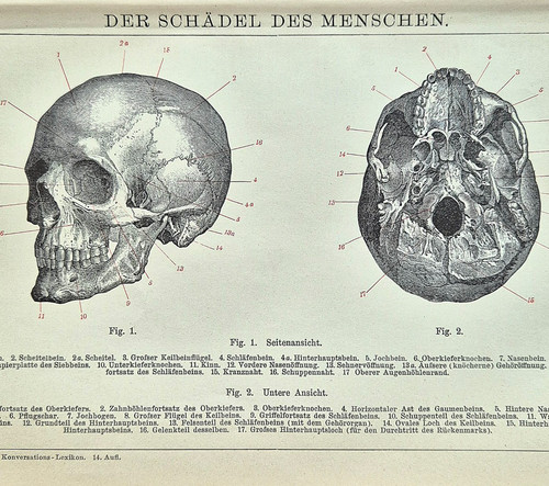 Alte lithographie der - alte,