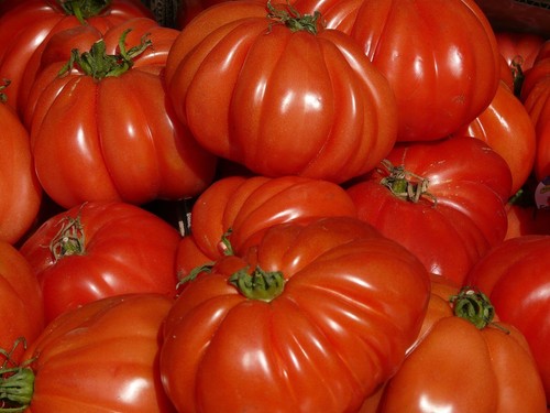 Fleischtomaten aromatische