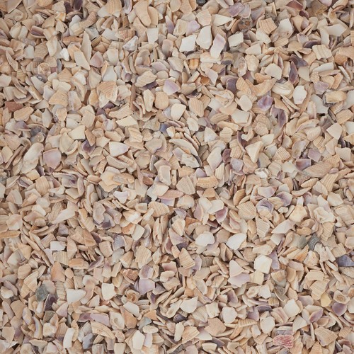 Eurosand muschelgranulat kg - 1,