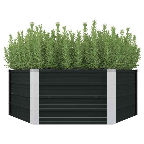 Hochbeet pflanzbeet - hochbeet,