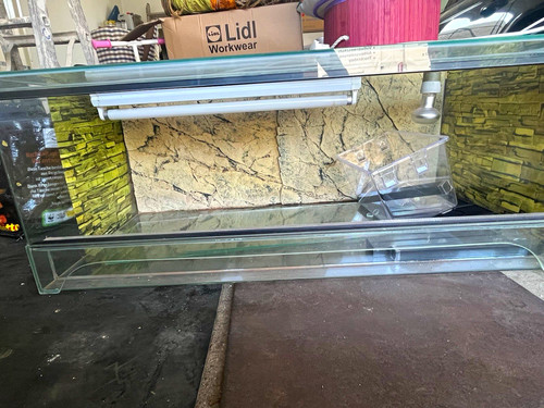 Glas terrarium mit - glas-terrarium,