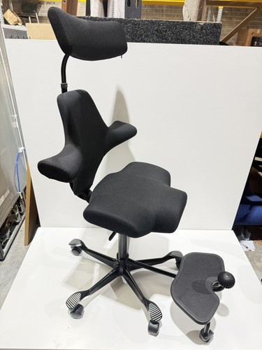 Hag capisco ergonomischer - capisco,