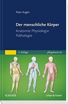Der menschliche körper - menschliche,