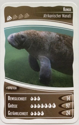 Ozeanien faszinierende - ozeanien, 10