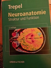 Neuroanatomie